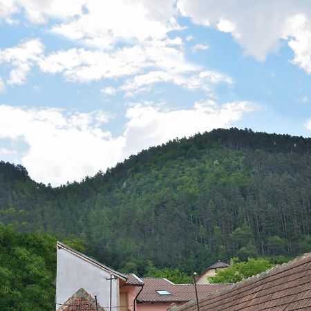 Casa Chiper - Attic Apartment With View Braşov Buitenkant foto